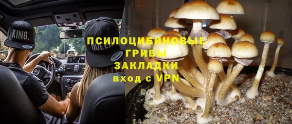 соль ск Аркадак