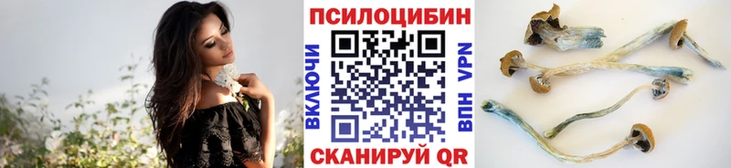 купить сайты Рыльск Псилоцибиновые грибы Cubensis